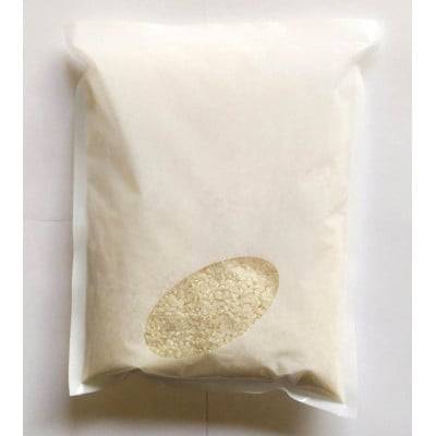 お試し!令和8年産9月より順次発送【premium】星降る清流米　天-TEN-・凰-OU-計600g