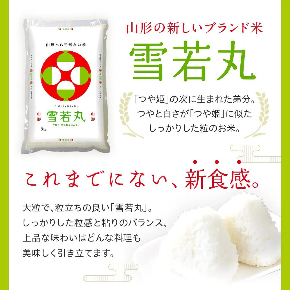 令和7年産 山形県産 雪若丸 10kg 精米 雪若丸