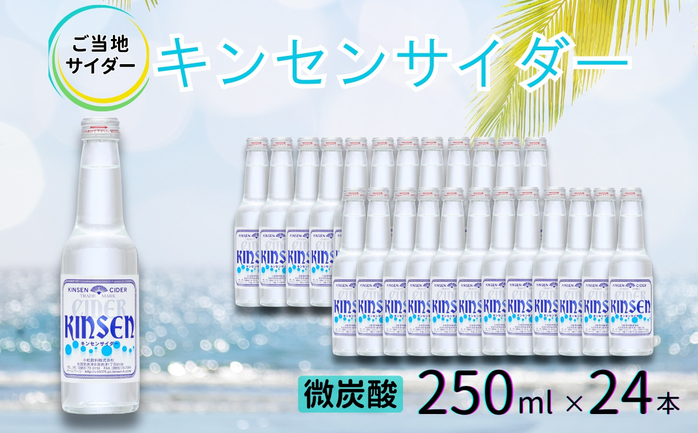 
            【地サイダー】キンセンサイダー250ml瓶×24本［A0182-0006］
          