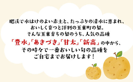 ゆみちゃん農園の玉東梨 甘太梨 約3kg(3～10玉前後)《2026年8月下旬-10月上旬頃出荷》 熊本県玉名郡玉東町 ｜ブランド梨 人気梨 特産品梨 熊本県梨 玉東町梨 大人気返礼品
