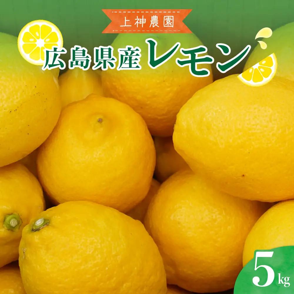 【先行受付】【2026年11月～発送】上神農園 の 広島県産 レモン 約5kg ku011-004-26
