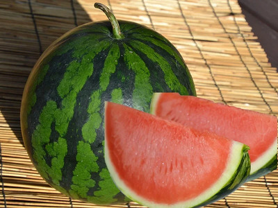 信州波田産 贈答用 高級スイカ！信州の癒し 【特上】 2L～3Lサイズ 1玉｜ふるさと納税 長野県 信州 松本 果物 フルーツ すいか スイカ 西瓜 新鮮 大きい 特別 贈答 季節限定 甘い くだもの