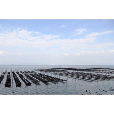 ふるさと納税 島原市 【有明海産】初摘み 贅卓焼のり(旬) |  | 02