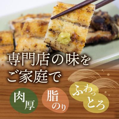 ふるさと納税 磐田市 浜名湖産 うなぎ白焼 2尾入り |  | 03