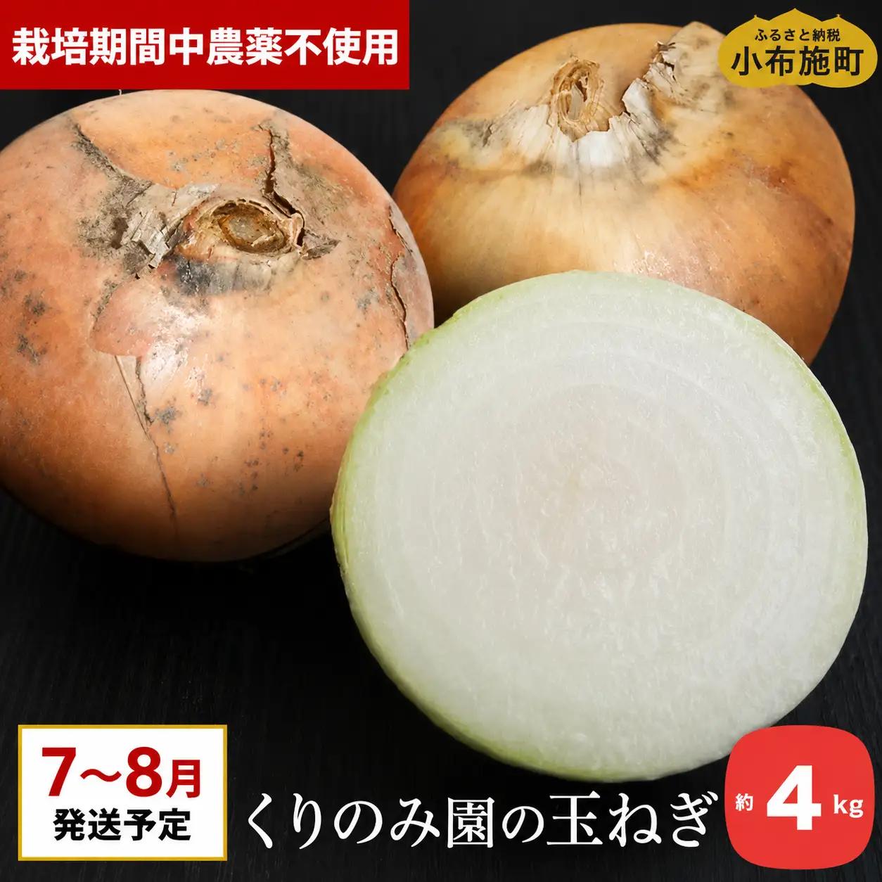 栽培期間中農薬・化学肥料不使用 くりのみ園の玉ねぎ  約4kg ［くりのみ園］ 2026年7月～8月末まで発送［H-88］