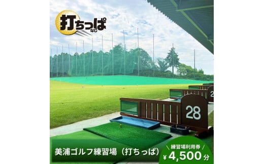 美浦ゴルフ練習場（打ちっぱ）練習場利用券 4,500円分 ゴルフ練習場 打ちっぱなし 80球×6枚分 480球分