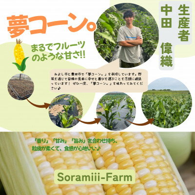 【ふるさと納税】【2026年度先行予約】愛知県みよし市産 朝採り「夢コーン。」Lサイズ8本セット 数量限定【配送不可地域：離島】【1727417】