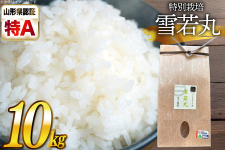 米 令和7年産 厳選米 匠 特別栽培米 雪若丸 10kg [金子農園 山形県 高畠町 tk06ays950030]