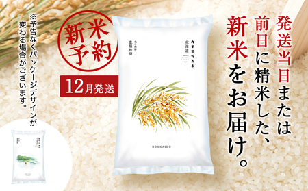 【新米予約】《12月発送》北海道産ななつぼし 10kg(真空パック5kg×2袋) 特Ａ 米 お米 10キロ 千歳 北海道 北海道米