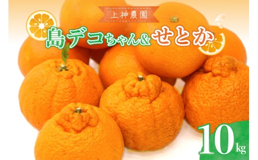 【先行受付】【2027年2月中旬～発送】島デコちゃん＆せとか－柑橘の王室セット 計約10kg ku011-047-26