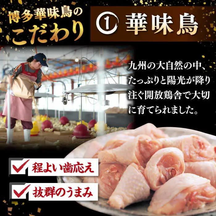 【全12回定期便】博多華味鳥 水炊き セット 6-8人前 （ぽん酢・柚子胡椒付）桂川町/トリゼンフーズ [ADBN012] 鶏 鍋 鍋セット お鍋 ちゃんぽん 6人前 8人前 定期便
