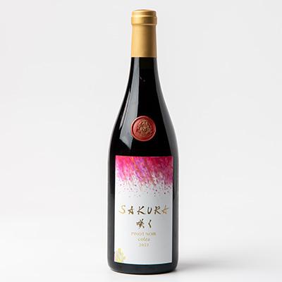 ふるさと納税 佐倉市 【数量限定】佐倉産初のワイン!ピノ・ノワール2023　750ml×1本 |  | 02