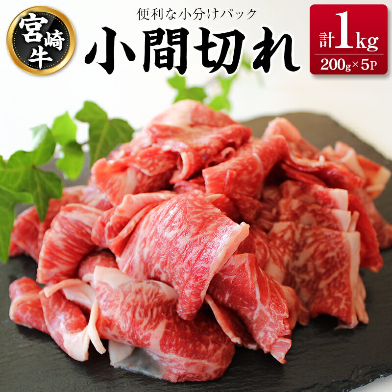 【ふるさと納税】宮崎牛 小間切れ 便利な小分け 200g×5P 計1kg 人気 冷凍 国産