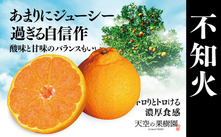 【天空の果樹園】そらデコ/不知火(4kg)【C45-44】【1339326】