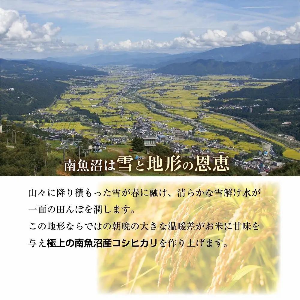 新潟県 南魚沼産 コシヒカリ 【従来品種】塩沢地区 お米 5kg  ×4袋 計20kg精米済み（お米の美味しい炊き方ガイド付き）｜主食