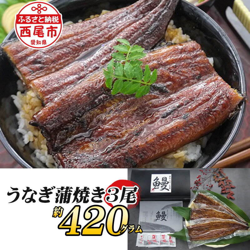 【ふるさと納税】T053-24 一色産うなぎ蒲焼3尾【冷凍便】 国産 無頭 三河産 日本産 愛知県産 三河一色産 西尾市産 鰻 タレ付き たれセット MB
