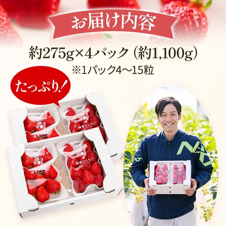 いちご あまおう 約1100g R9年3～5月中旬発送 いちご