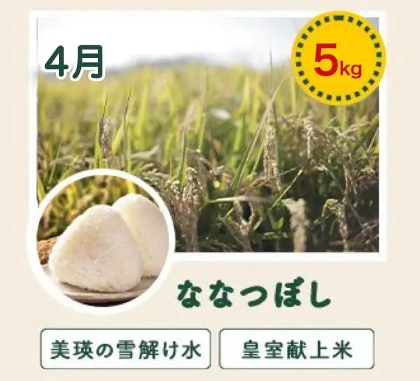 旬の野菜定期便 5回 【令和9年産予約受付】 美瑛の四季 唐松（小）  野菜