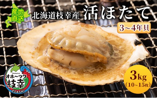 
                  北海道枝幸産 活ホタテ 3kg 【枝幸ほたて】 あければオホーツク 【 冷凍 貝柱 魚介 海 オホーツク 帆立 BBQ 北海道 オホーツク 枝幸 】
                