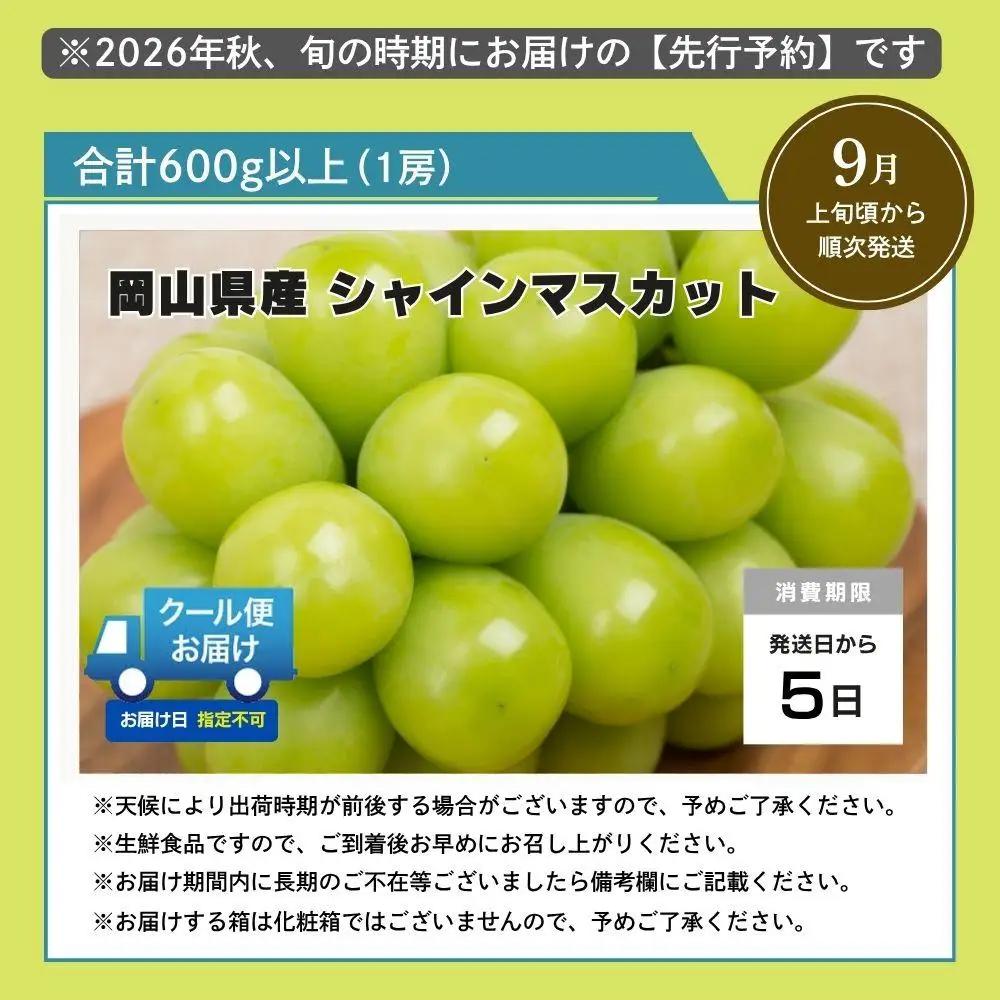 【2026年発送分 先行予約】 シャインマスカット 600g以上（1房）【ご家庭用】【025-a034】