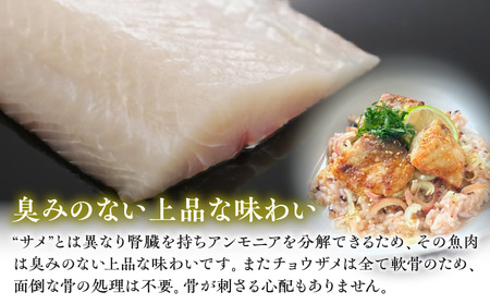 宮崎県産チョウザメの切り身70g×8パックセット