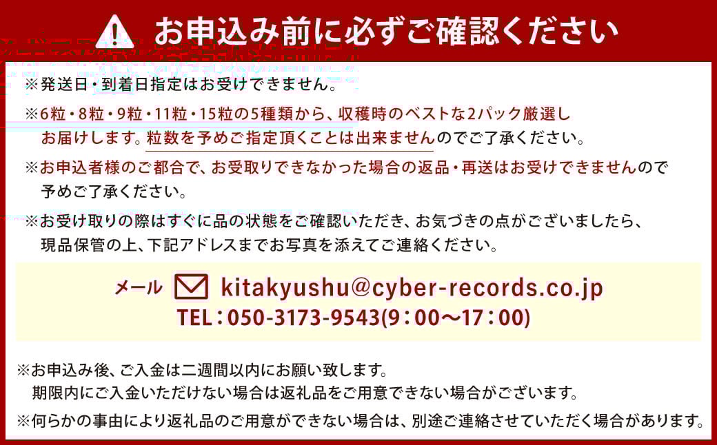 【定期便3回（2025年1･2･3月発送）】小倉の苺やさん「わがこいちご」 260g×2パック×3回