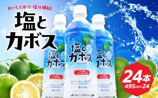 塩とカボス　495ml×24本 大分県 カボス 果汁 はちみつ さわやか スポーツドリンク 飲みやすい 水分補給 柑橘 清涼飲料水 I02059