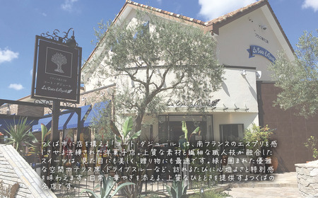 ロールケーキ 田園ロール ＋ 学園ロール