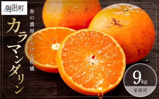 【2027年発送先行予約品】ミカファームのカラマンダリン9キロ（家庭用）【数量限定 果物 フルーツ みかん オレンジ カラマンダリン 家庭用 デザート 9kg 三重県 御浜町】