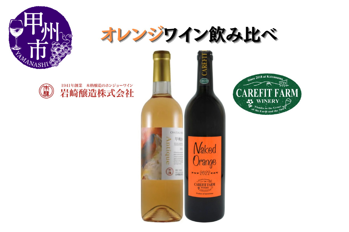 
            大ブーム中！オレンジワイン飲み比べ ～ケアフィットファームワイン シャトーホンジョー～（MG）C-689
          