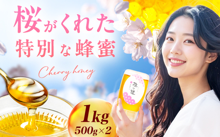 早春みつ 2本（500g×2） / はちみつ[AFAI046]