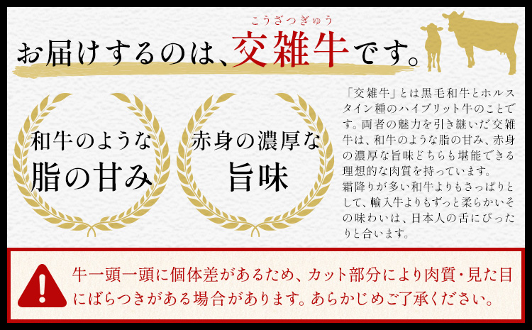 【12ヶ月定期便】岡山県産牛 スライス 赤身 500g×12回《お申し込み月の翌月から出荷開始》 岡山県 笠岡市 肉 送料無料