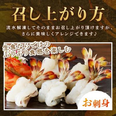 ふるさと納税 松浦市 生食用 瞬間冷凍活き〆福島くるまえび1kg(500g×2P) |  | 02