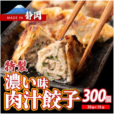 ふるさと納税 静岡市 肉汁餃子(30個入×10袋)