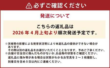 【年3回定期便】アールスメロン 2玉入り（化粧箱入り）×3回 【2026年4月上旬発送開始】 メロン 果物 くだもの フルーツ 果実 果汁 デザート 定期便 年3回 熊本県 熊本県産