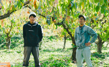 フルーツ 【先行予約】【8個限定】【優品】 松江市産西条柿自宅でできる「つるし柿セット」 8kg 島根県松江市/マルカミ農縁株式会社 [ALCM010] フルーツ フルーツ