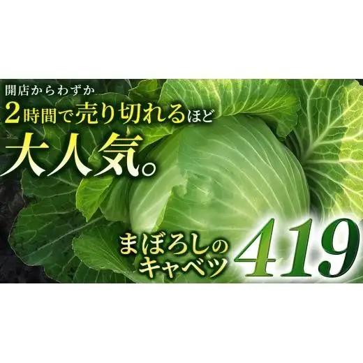 ＜レビューキャンペーン開催中＞＜7月中旬発送開始＞ 【 特選 】 まぼろしの419キャベツ 2玉 [AL020tu]
