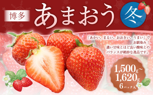 博多あまおう6パック（冬） 250g～270g×6パック 合計約1500g～1620g あまおう いちご 苺 イチゴ フルーツ 果物 くだもの【2026年12月上旬-2027年1月下旬発送予定】