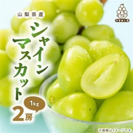 【発送月固定定期便】桃5～8玉(2kg)・シャインマスカット2房(1kg以上)全2回【配送不可地域：離島】【4066669】