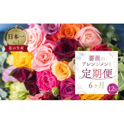 ふるさと納税 田原市 【2週間毎定期便】バラ20本(40cm)のアレンジブーケ全12回