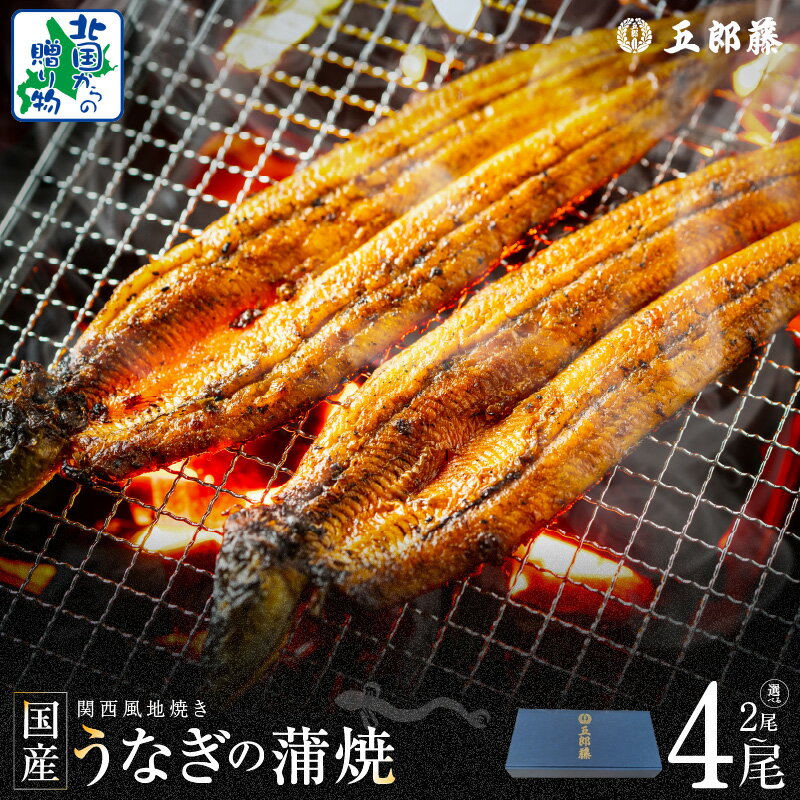 【ふるさと納税】 老舗 五郎藤 関西風地焼き 国産 有頭旨鰻 120g 2尾 計約 240g前後 / 4尾 計 約 480g前後 化粧箱入り うなぎ 蒲焼き 炭火 たれ 粉山椒付き ウナギの蒲焼 手軽 簡単 魚介類 惣菜 うな丼 ひつまぶし 泉佐野市 送料無料