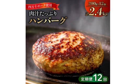 
12ヶ月定期便 四万十ポーク入りハンバーグ 2.4kg(200g×12個) 冷凍 真空 小分け 個包装 肉汁たっぷり ハンバーグ 大容量 ハンバーグ 合挽き ハンバーグ 牛肉 ハンバーグ 豚肉 ハンバーグ お弁当 おかず 惣菜 晩ごはん 贅沢 SNM2000
