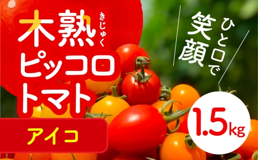 ピッコロトマトアイコ1.5㎏