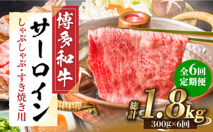 
【全6回定期便】【厳選部位！】博多和牛 サーロイン しゃぶしゃぶ すき焼き用 300g《築上町》【株式会社MEAT PLUS】 牛肉 肉 [ABBP083] 66000円
