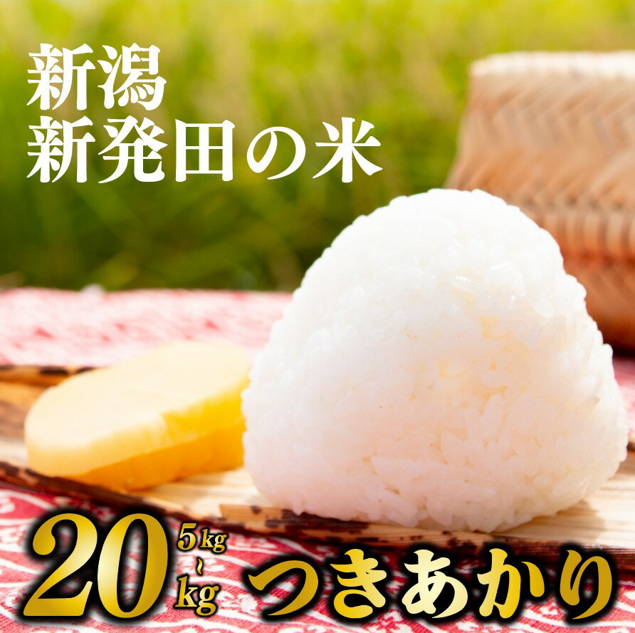 【ふるさと納税】 つきあかり 5kg 10kg 20kg 選べる 令和7年産 コシヒカリ こしひかり 同等以上の食味 先行予約 ご飯 備蓄 コメ お米 米 こめ しんまい 新潟産 新潟米 新潟県 新潟 新発田 新発田市 国産 新発田市産 斗伸 toushin036 toushin037 toushin038