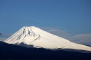 【ふるさと納税】空き家管理サービス+ゴミなんでも相談(月1回×6ヶ月 6回分)＜三島市内対象＞【空き家管理サービス+ゴミなんでも相談(月1回×6ヶ月 6回分) 三島市内対象 ココロの絆が安心につながる 建物外部目視点検、庭木の確認、郵便物確認 静岡県 三島市 】