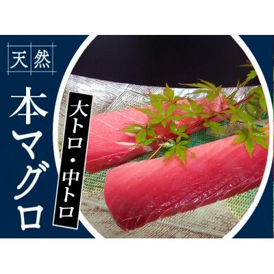 ふるさと納税 奈半利町 本鮪　大トロ180g中トロ200g　104005
