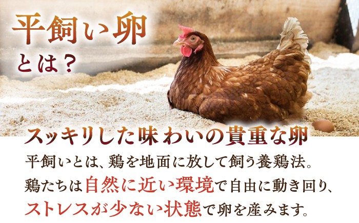 プリン 12本入り