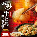 【ふるさと納税】山樹の国産牛とろホルモン焼き（味付/タレ）　300g