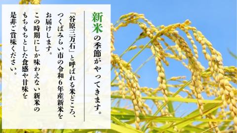 【新米先行予約開始！ / 11月上旬出荷分】《 令和6年産 》茨城県産 米 2種 食べ比べ セット 精米 20kg （ コシヒカリ 10kg +その他1種）【各月 数量限定】　こしひかり 米 コメ